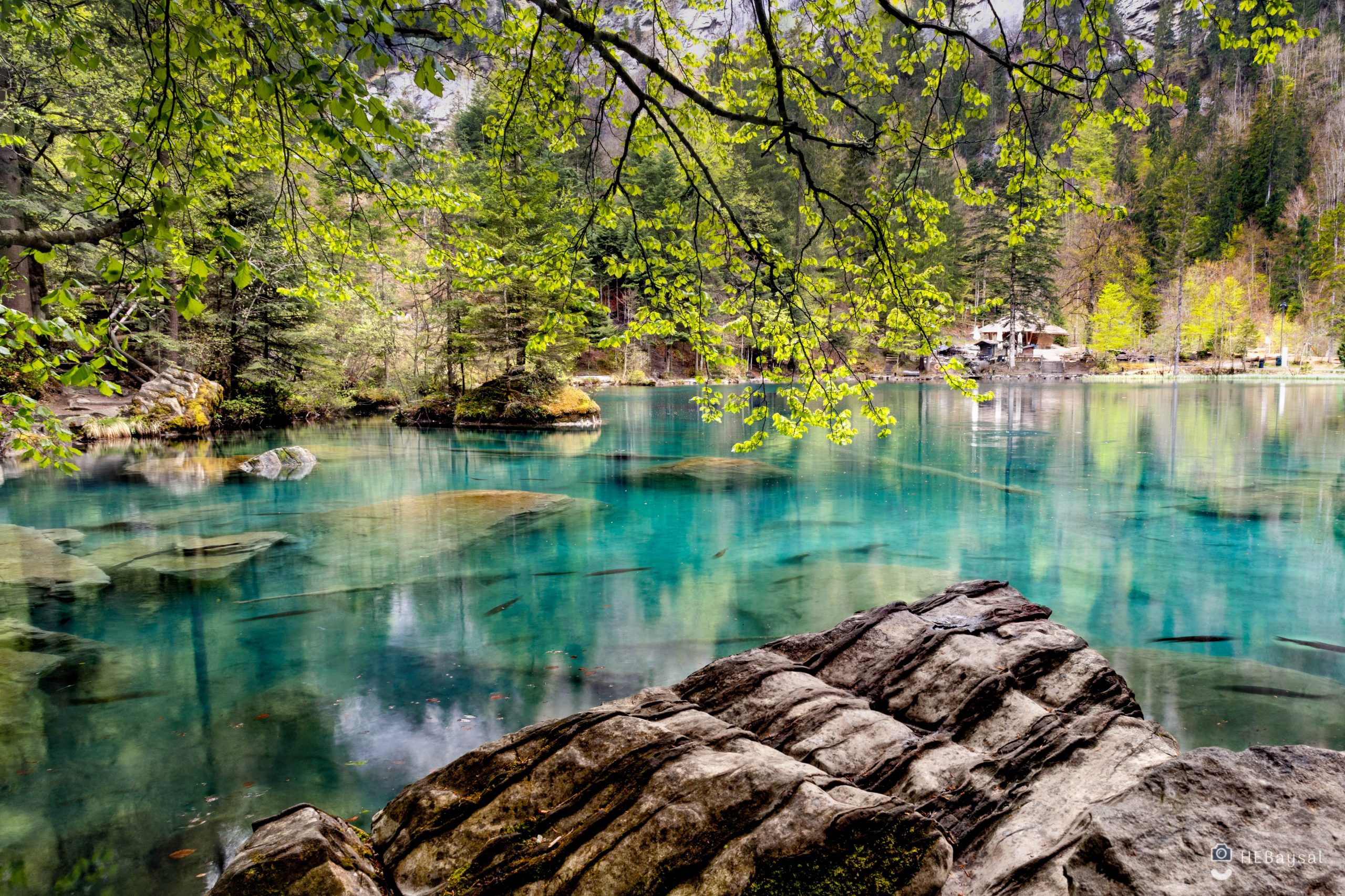 lake-during-daytime